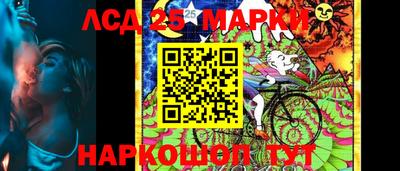 шишки Шелехов